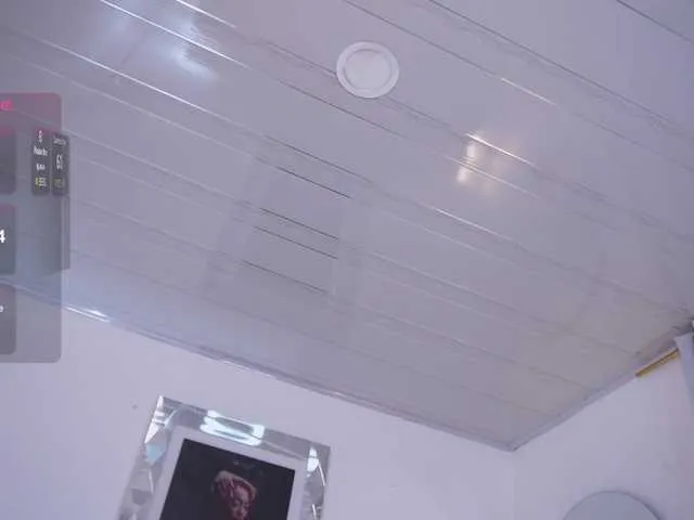 alondrasparrow Image 17