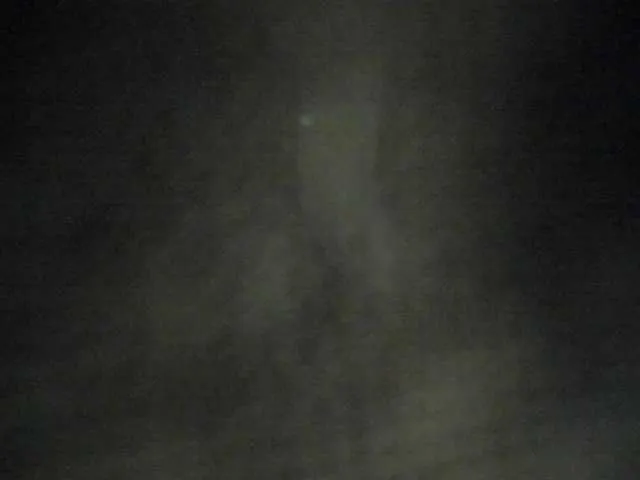 Amer-Hazee streaming now