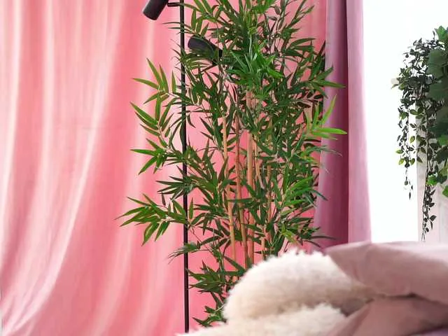 ArtTeasee streaming now