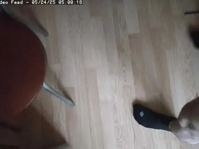 BonnieandClyde streaming now