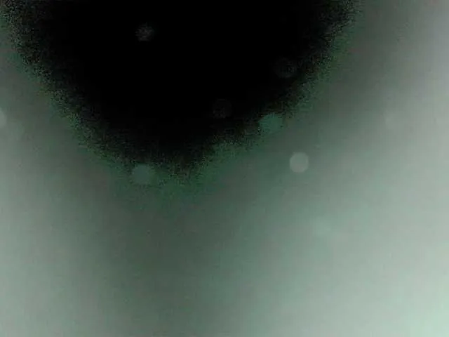 DarinaUK Image 15
