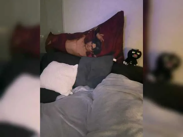 OriginalHOOLi Image 5