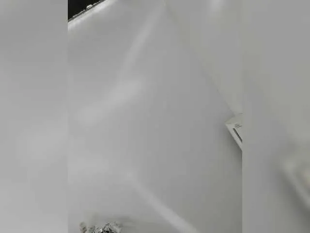 sexdiana69 Image 16