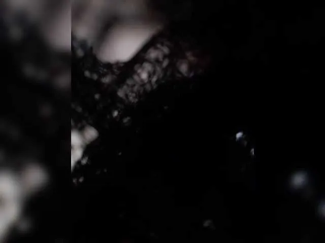 Xrisa Image 8