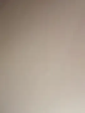 Bella__Wood Image 4