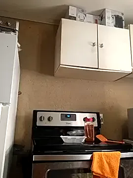 birdg Image 2