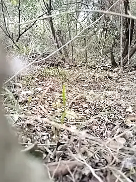 CertifiedSatisfier Image 10