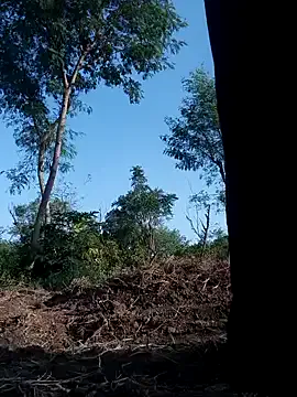 Fasfas2 Image 13