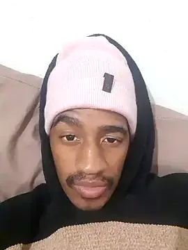 gemini_loops Image 3