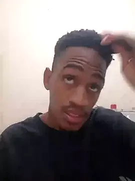 gemini_loops Image 7