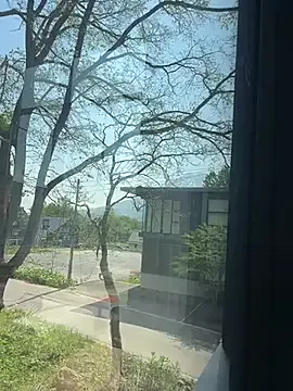 Hideen-real-face Image 4