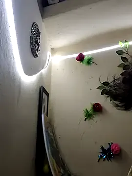 Indian-Glory Image 15