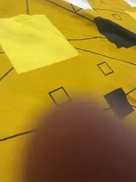 Komal_Meghawani Image 10