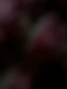 MidnightOasis Image 10