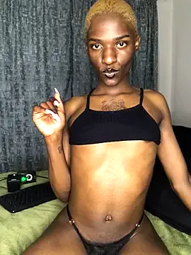 Trans_fairy Image 10